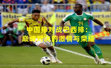 中国排对战巴西排:巅峰对决的激情与荣耀